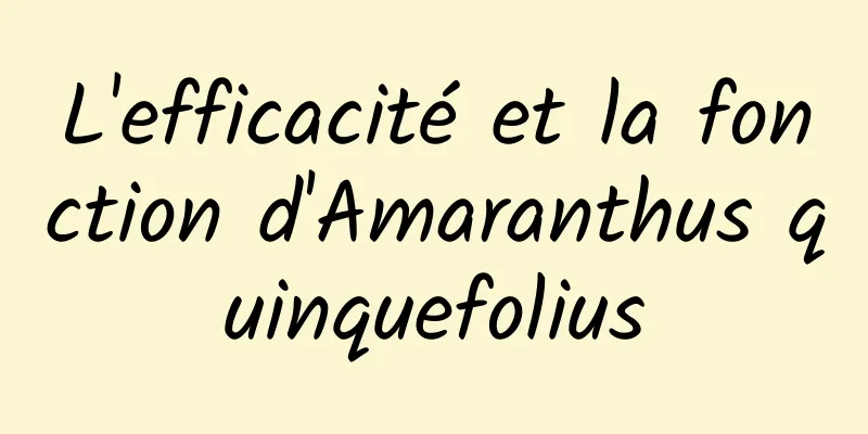 L'efficacité et la fonction d'Amaranthus quinquefolius