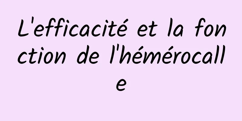 L'efficacité et la fonction de l'hémérocalle