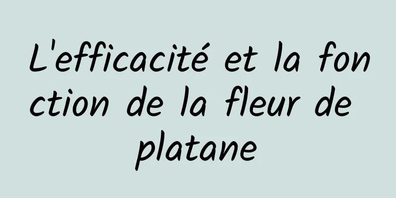 L'efficacité et la fonction de la fleur de platane