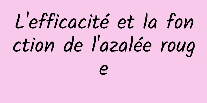 L'efficacité et la fonction de l'azalée rouge