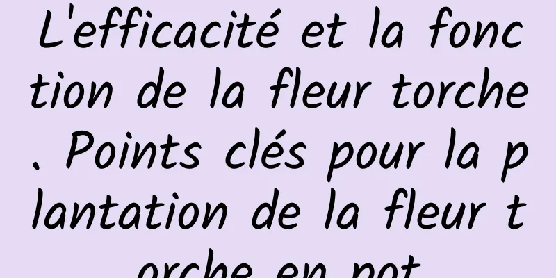 L'efficacité et la fonction de la fleur torche. Points clés pour la plantation de la fleur torche en pot