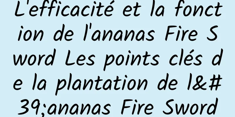 L'efficacité et la fonction de l'ananas Fire Sword Les points clés de la plantation de l'ananas Fire Sword