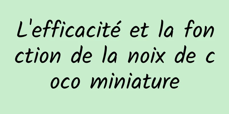 L'efficacité et la fonction de la noix de coco miniature