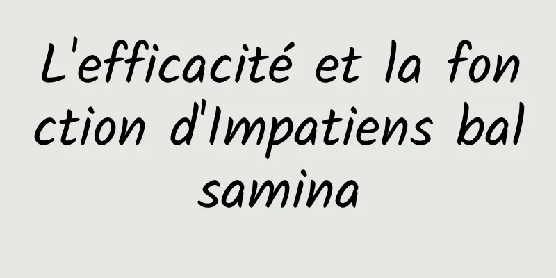 L'efficacité et la fonction d'Impatiens balsamina