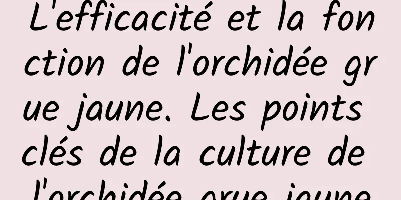 L'efficacité et la fonction de l'orchidée grue jaune. Les points clés de la culture de l'orchidée grue jaune