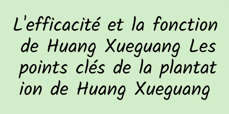 L'efficacité et la fonction de Huang Xueguang Les points clés de la plantation de Huang Xueguang