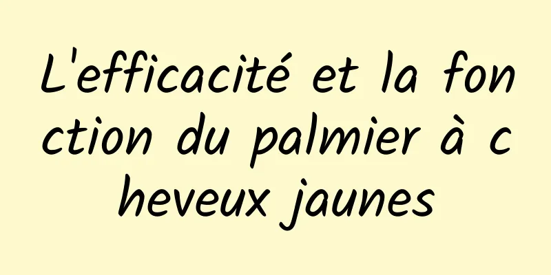 L'efficacité et la fonction du palmier à cheveux jaunes