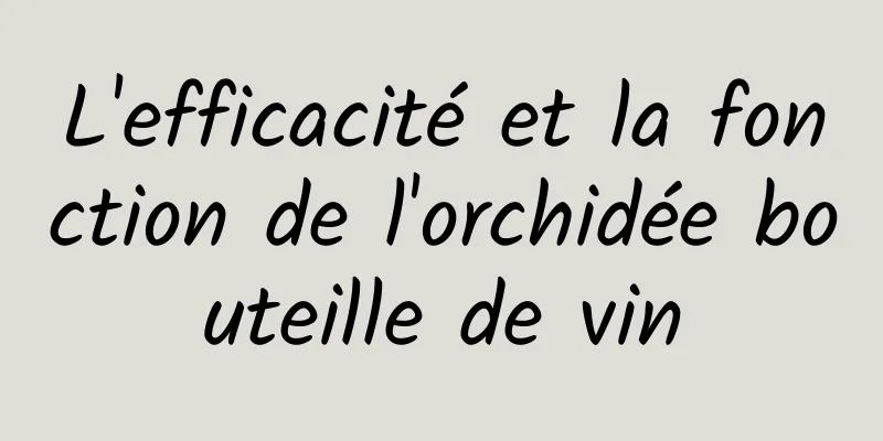 L'efficacité et la fonction de l'orchidée bouteille de vin