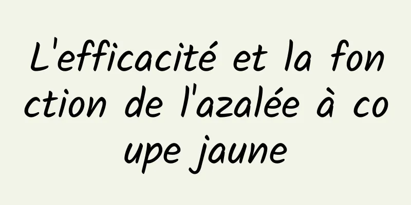 L'efficacité et la fonction de l'azalée à coupe jaune