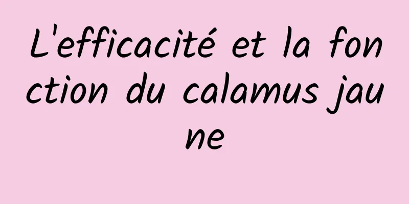 L'efficacité et la fonction du calamus jaune