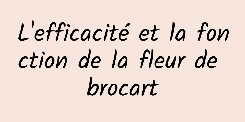 L'efficacité et la fonction de la fleur de brocart