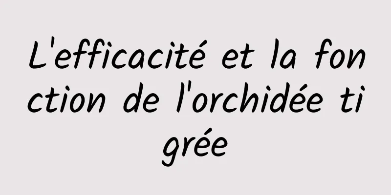 L'efficacité et la fonction de l'orchidée tigrée