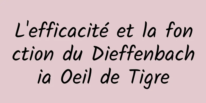 L'efficacité et la fonction du Dieffenbachia Oeil de Tigre