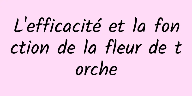 L'efficacité et la fonction de la fleur de torche