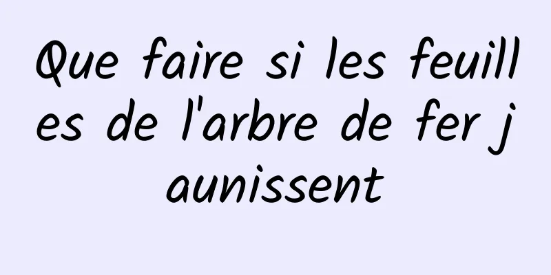 Que faire si les feuilles de l'arbre de fer jaunissent