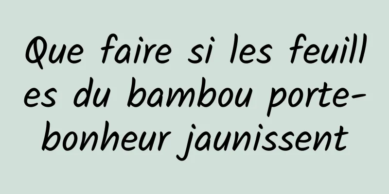 Que faire si les feuilles du bambou porte-bonheur jaunissent