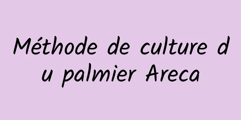 Méthode de culture du palmier Areca