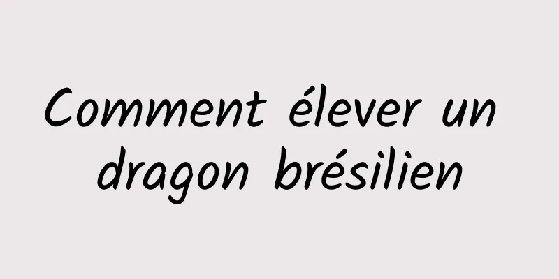 Comment élever un dragon brésilien