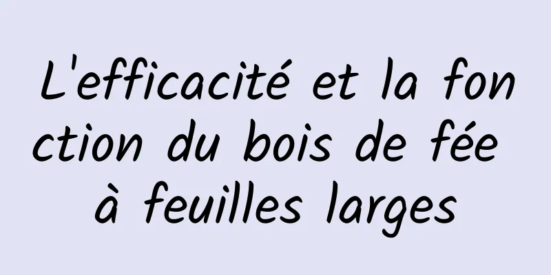 L'efficacité et la fonction du bois de fée à feuilles larges