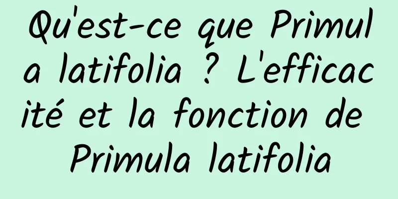 Qu'est-ce que Primula latifolia ? L'efficacité et la fonction de Primula latifolia