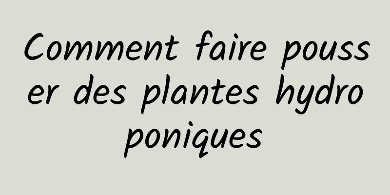 Comment faire pousser des plantes hydroponiques