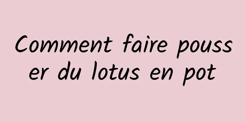 Comment faire pousser du lotus en pot