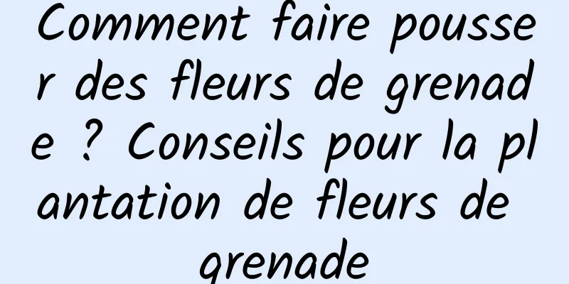 Comment faire pousser des fleurs de grenade ? Conseils pour la plantation de fleurs de grenade