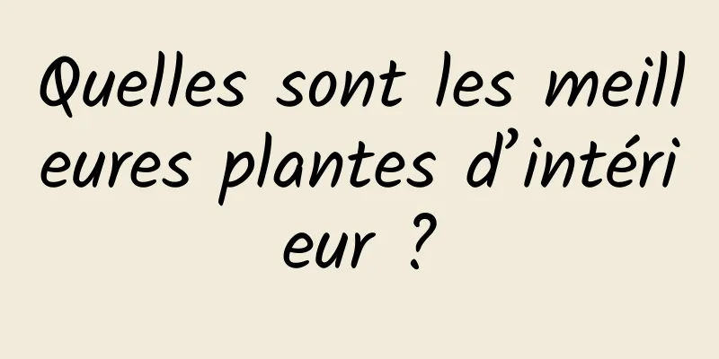 Quelles sont les meilleures plantes d’intérieur ?