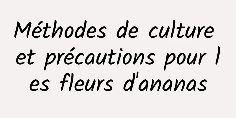 Méthodes de culture et précautions pour les fleurs d'ananas