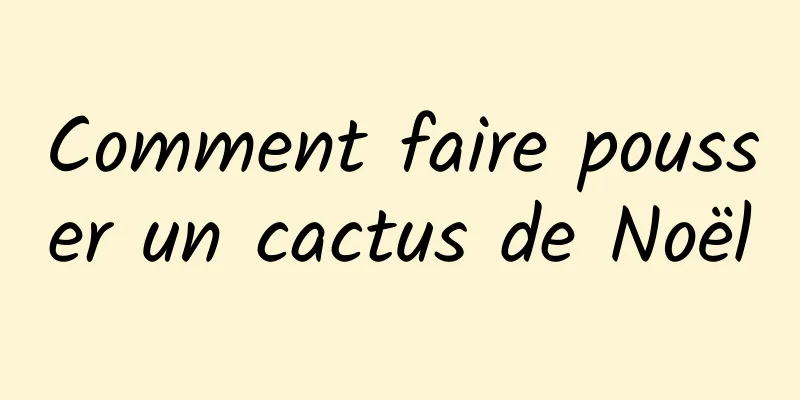 Comment faire pousser un cactus de Noël