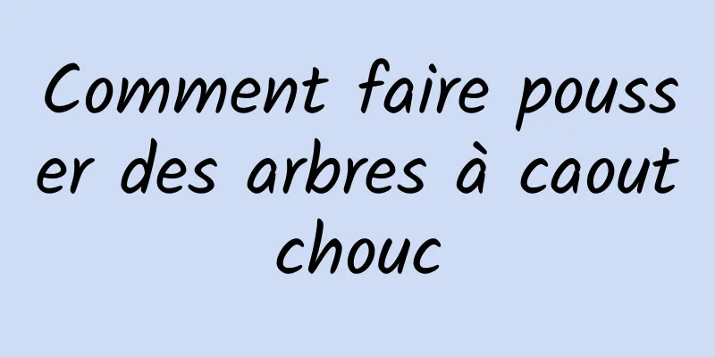 Comment faire pousser des arbres à caoutchouc