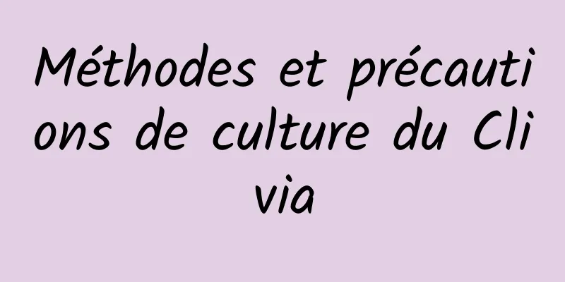 Méthodes et précautions de culture du Clivia