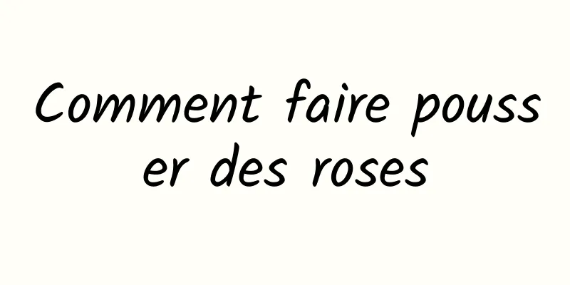 Comment faire pousser des roses