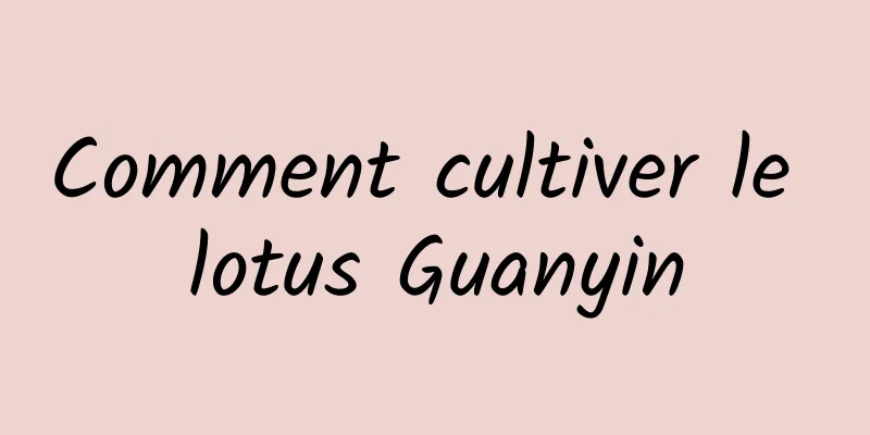 Comment cultiver le lotus Guanyin