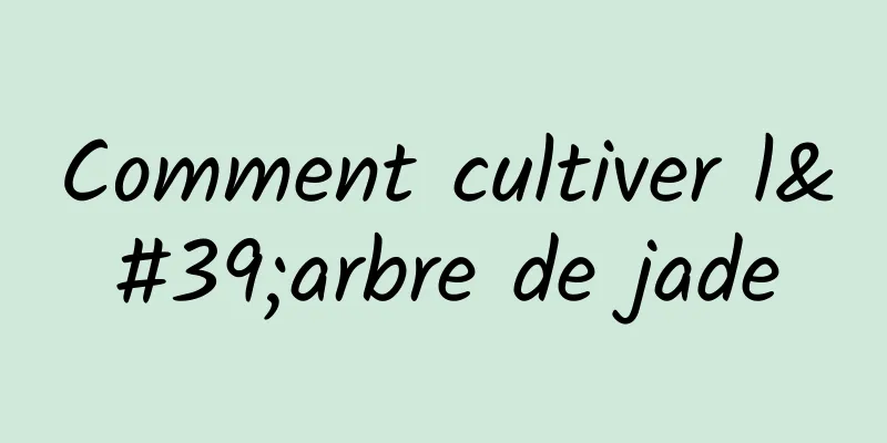 Comment cultiver l'arbre de jade