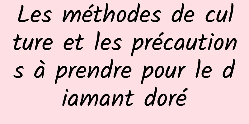 Les méthodes de culture et les précautions à prendre pour le diamant doré