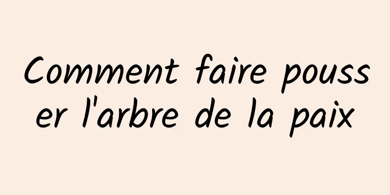 Comment faire pousser l'arbre de la paix