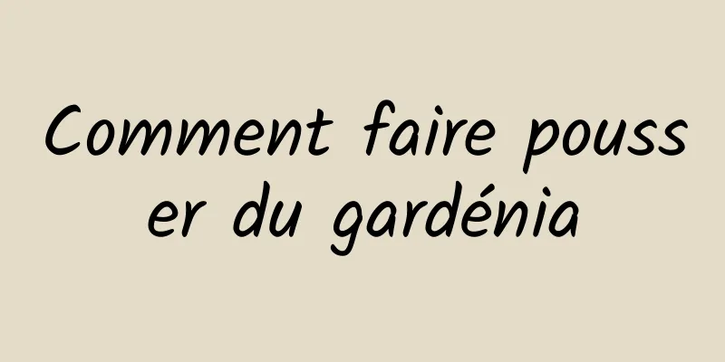 Comment faire pousser du gardénia