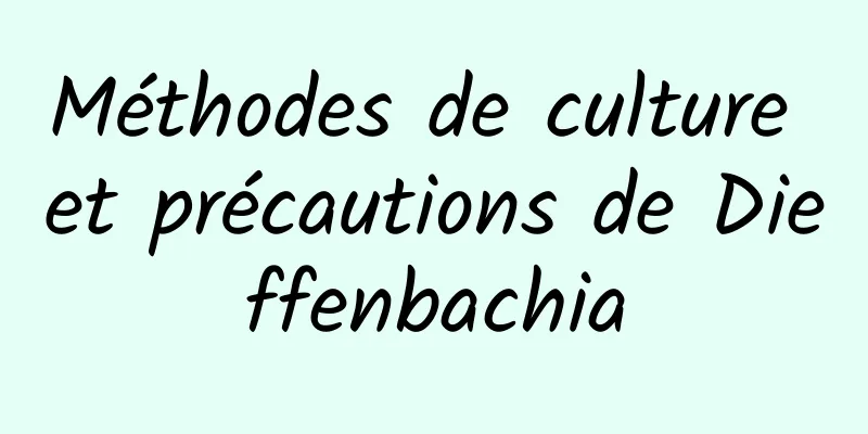 Méthodes de culture et précautions de Dieffenbachia