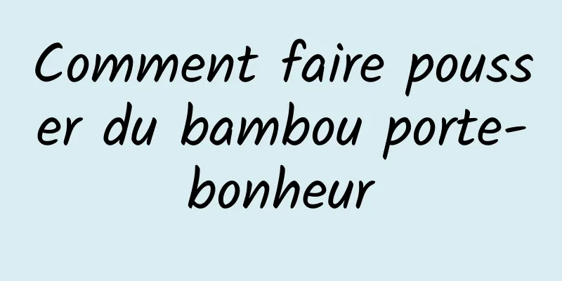 Comment faire pousser du bambou porte-bonheur