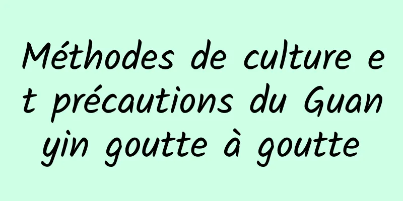 Méthodes de culture et précautions du Guanyin goutte à goutte