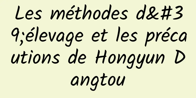 Les méthodes d'élevage et les précautions de Hongyun Dangtou