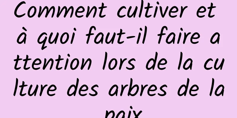 Comment cultiver et à quoi faut-il faire attention lors de la culture des arbres de la paix