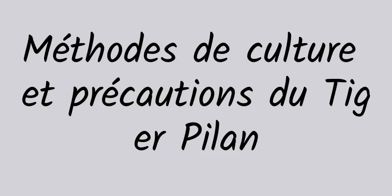 Méthodes de culture et précautions du Tiger Pilan