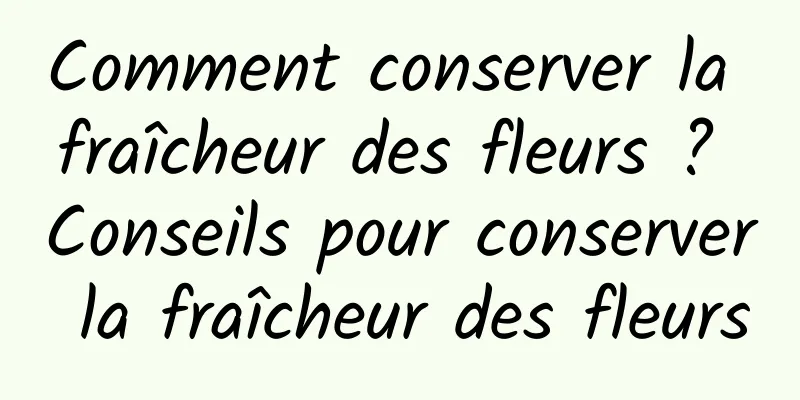 Comment conserver la fraîcheur des fleurs ? Conseils pour conserver la fraîcheur des fleurs