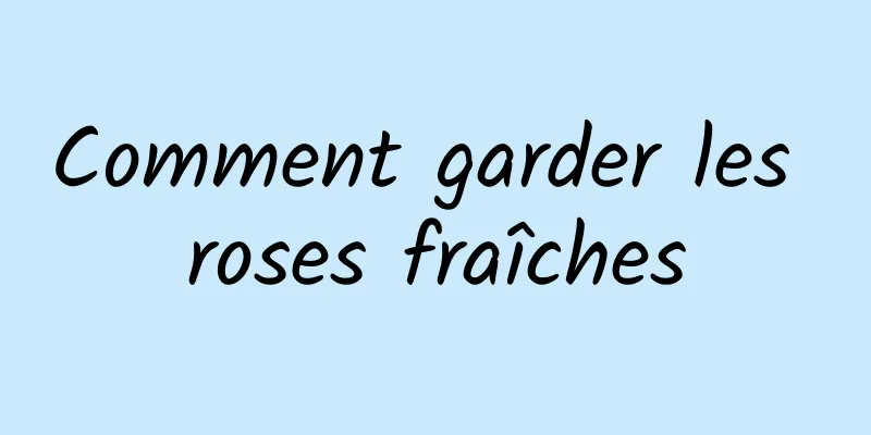 Comment garder les roses fraîches