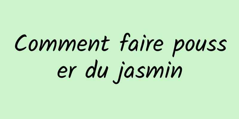 Comment faire pousser du jasmin