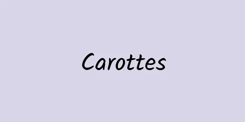 Carottes