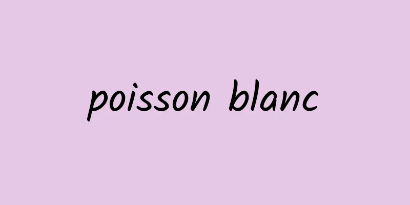 poisson blanc