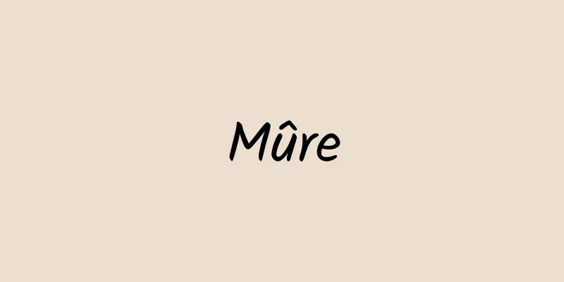 Mûre